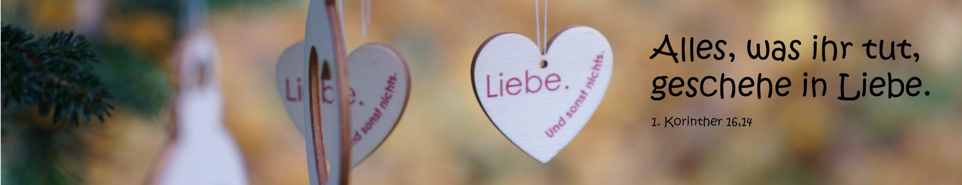 Ein Holzherz mit der Aufschrift Liebe. Sonst nichts. an einem Tannenzweig, daneben die Jahreslosung Alles was ihr tut geschehe in Liebe